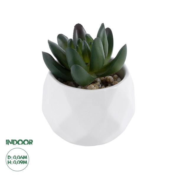 GloboStar® Artificial Garden SUCCULENT CRASSULA 20979 Διακοσμητικό Φυτό Παχύφυτο Κράσουλα Υ9cm