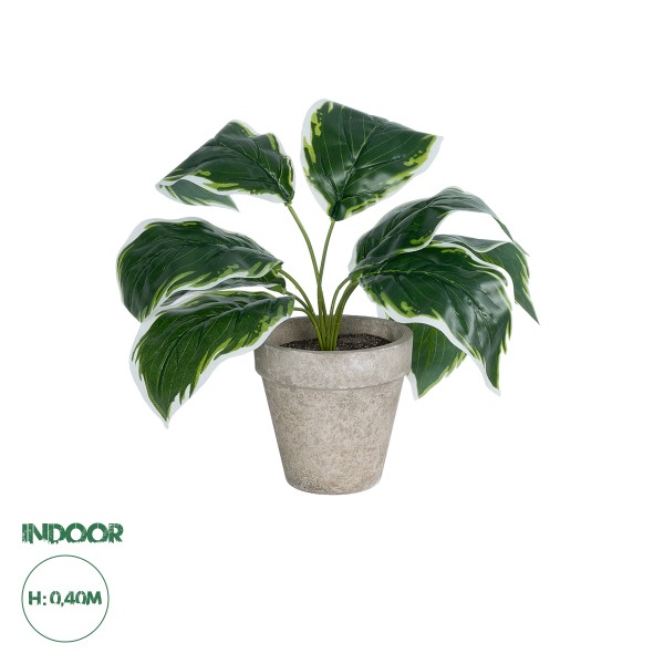 GloboStar® Artificial Garden WHITE HOSTA 20900 Διακοσμητικό Φυτό Λευκή  Χόστα Υ40cm