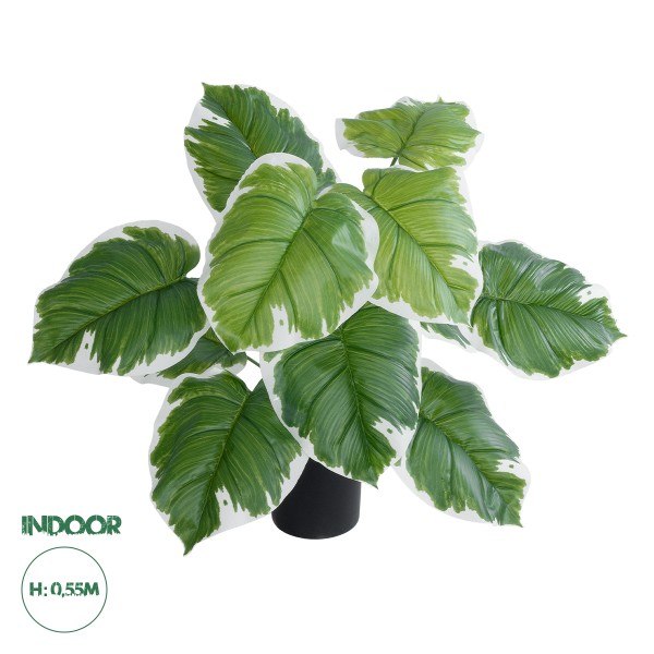 GloboStar® Artificial Garden WHITE HOSTA 20931 Διακοσμητικό Φυτό Λευκή  Χόστα Υ55cm