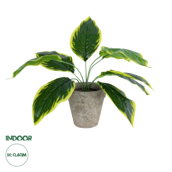 GloboStar® Artificial Garden YELLOW HOSTA 20899 Τεχνητό Διακοσμητικό Φυτό Κίτρινη Χόστα Υ40cm