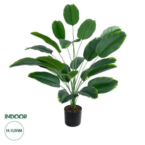 GloboStar® Artificial Garden YOUNG BANANA 20916 Διακοσμητικό Φυτό Νεαρή Μπανανιά Υ80cm