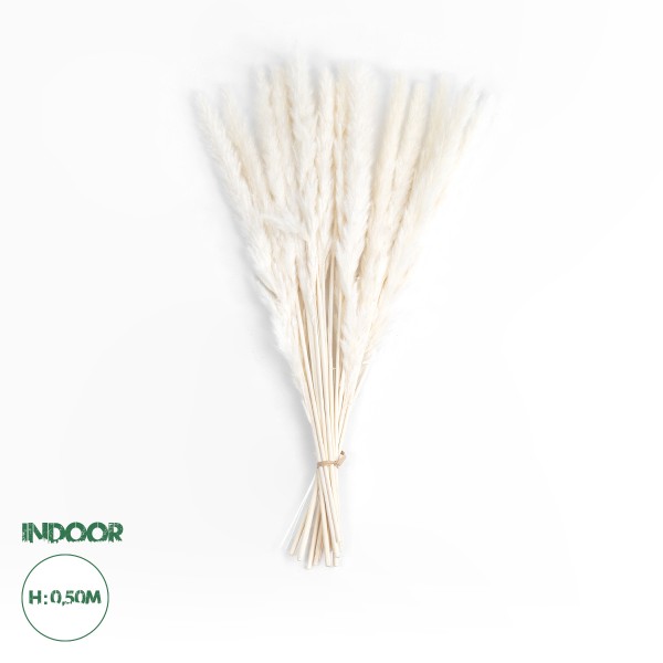 GloboStar® Artificial Garden REAL DRIED BEIGE PAMPAS GRASS BUNCH 21116 Αποξηραμένο Διακοσμητικό Μπουκέτο Pampas Μπέζ Y50cm