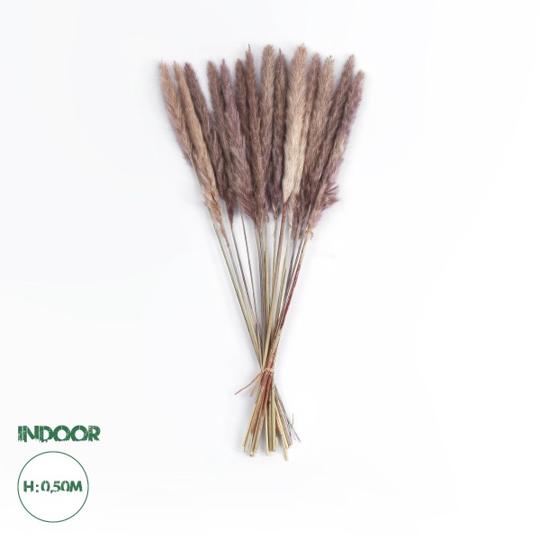 GloboStar® Artificial Garden REAL DRIED BROWN PAMPAS GRASS BUNCH 21115 Αποξηραμένο Διακοσμητικό Μπουκέτο Pampas Kάφε Y50cm