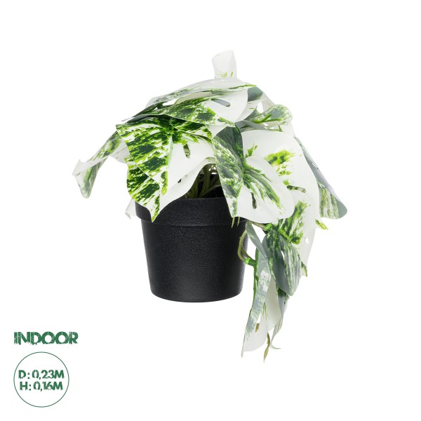 GloboStar® Artificial Garden ALBINO MONSTERA PLANT 20946 Διακοσμητικό Φυτό Μονστέρα Φ23 x Υ16cm