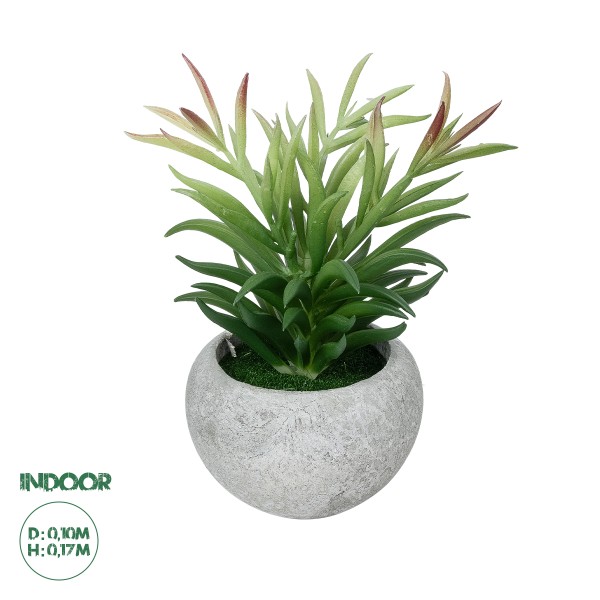 GloboStar® Artificial Garden SUCCULENT CRASSULA POTTED PLANT 21038 Διακοσμητικό Φυτό Κρασούλα  Φ10 x Υ17cm