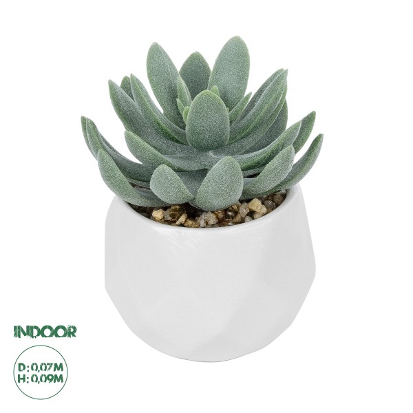 GloboStar® Artificial Garden SUCCULENT SEDEVERIA POTTED PLANT 20998 Διακοσμητικό Φυτό Σεδεβέρια  Φ7 x Υ9cm