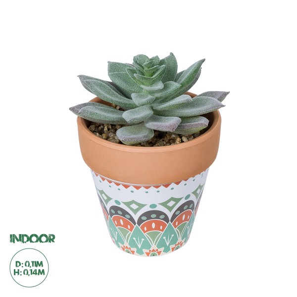 GloboStar® Artificial Garden SUCCULENT SEDEVERIA POTTED PLANT 21041 Διακοσμητικό Φυτό Σεδεβέρια  Φ11x Υ14cm