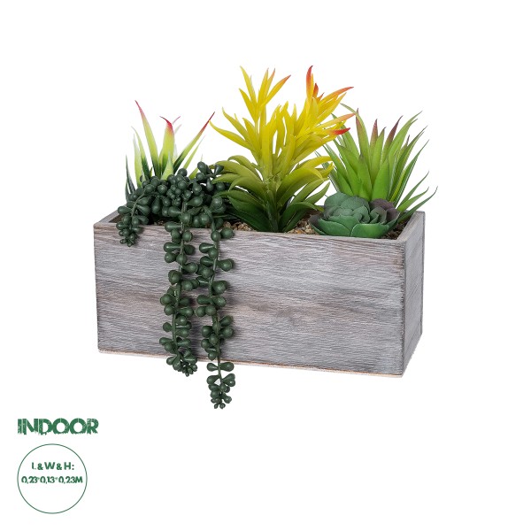 GloboStar® Artificial Garden SUCCULENT VARIUS PLANT POTTED 21034 Διακοσμητικό Φυτό Μίξ Μ25 x Υ22cm