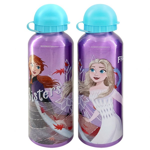 Παγούρι Μεταλλικό Frozen 500ml-6,5x21εκ. Disney 50-2308